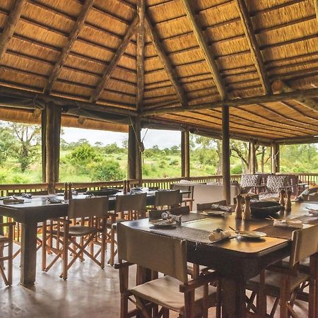 Shindzela Tented Camp Rezervaţia naturală Timbavati Exterior foto