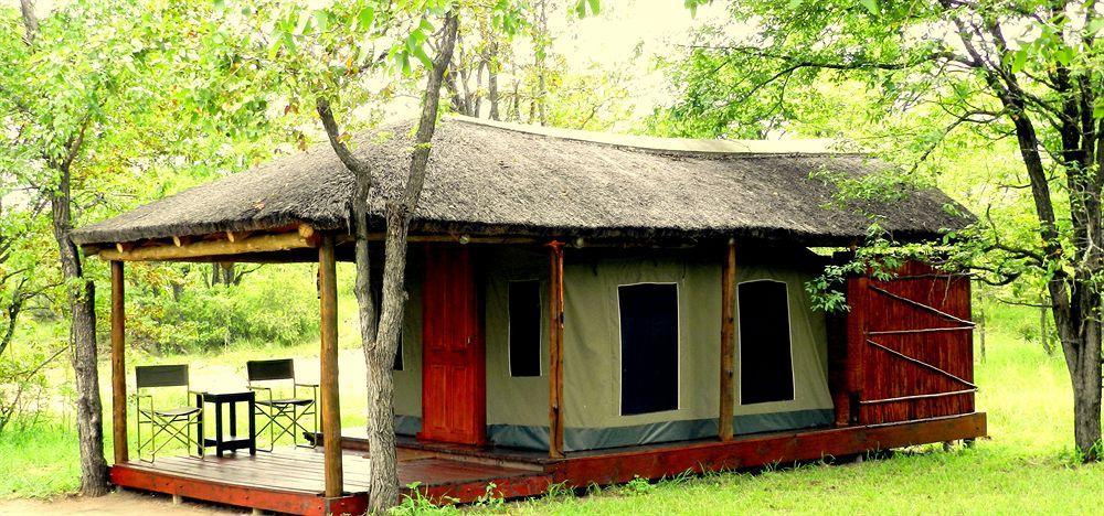 Shindzela Tented Camp Rezervaţia naturală Timbavati Exterior foto