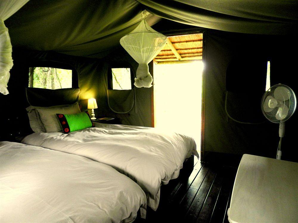 Shindzela Tented Camp Rezervaţia naturală Timbavati Exterior foto