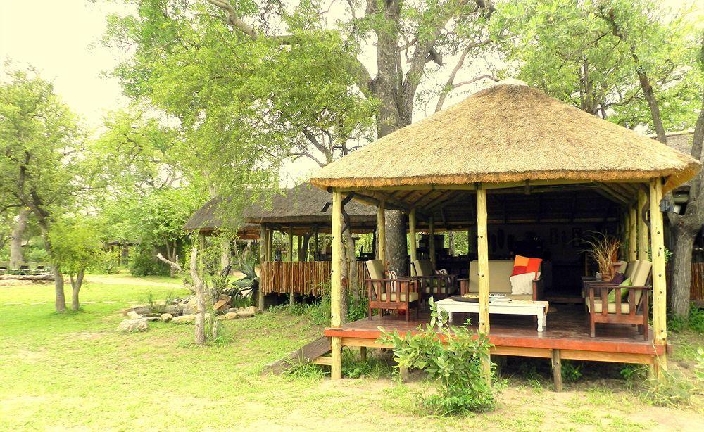 Shindzela Tented Camp Rezervaţia naturală Timbavati Exterior foto
