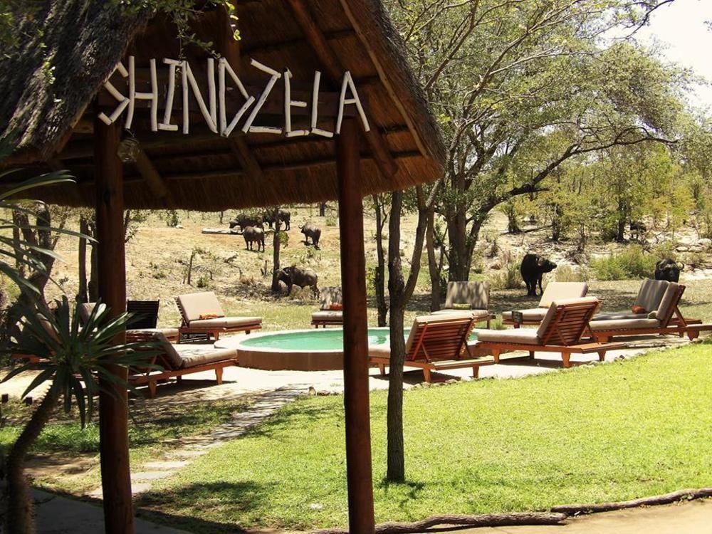 Shindzela Tented Camp Rezervaţia naturală Timbavati Exterior foto