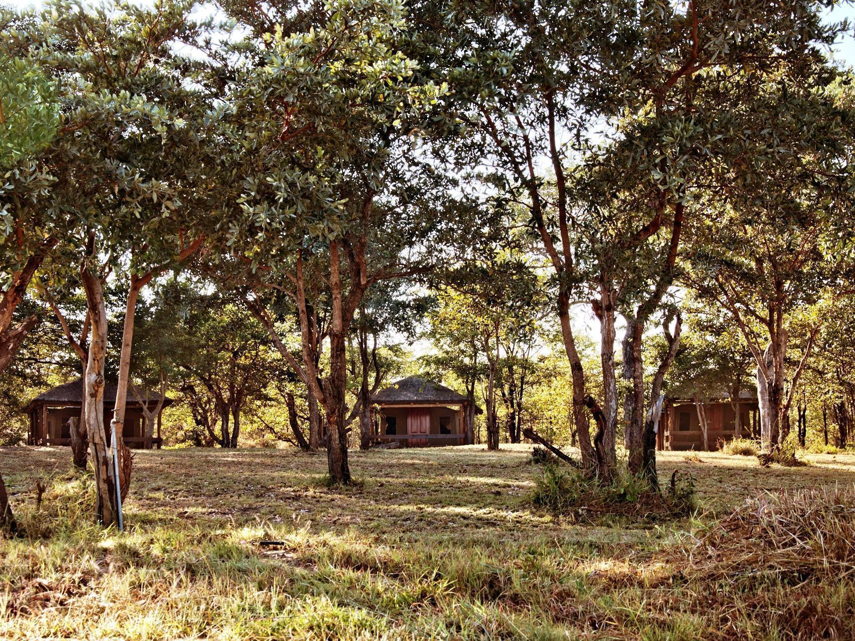 Shindzela Tented Camp Rezervaţia naturală Timbavati Exterior foto
