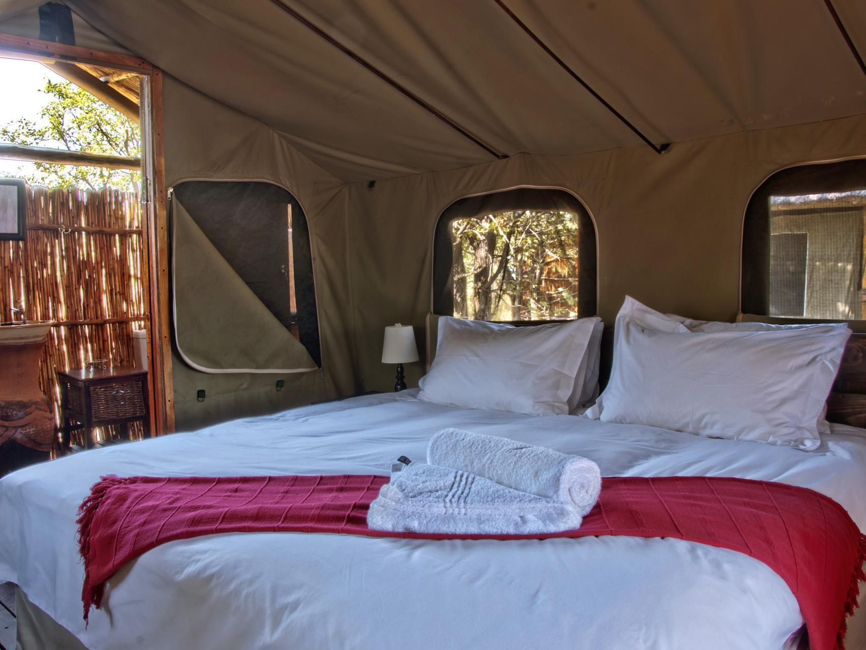 Shindzela Tented Camp Rezervaţia naturală Timbavati Exterior foto