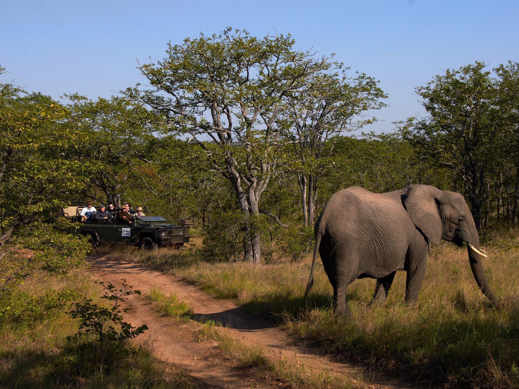 Shindzela Tented Camp Rezervaţia naturală Timbavati Exterior foto