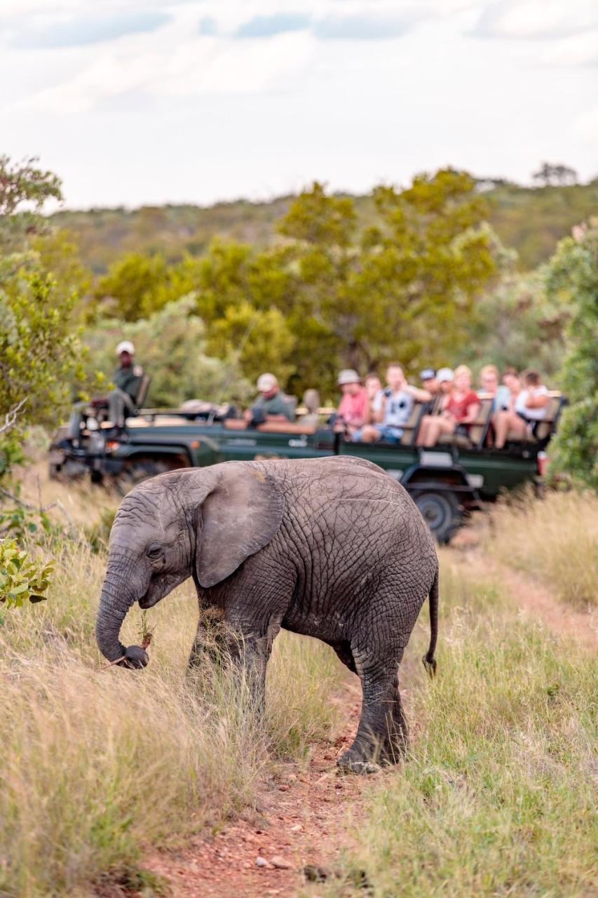 Shindzela Tented Camp Rezervaţia naturală Timbavati Exterior foto