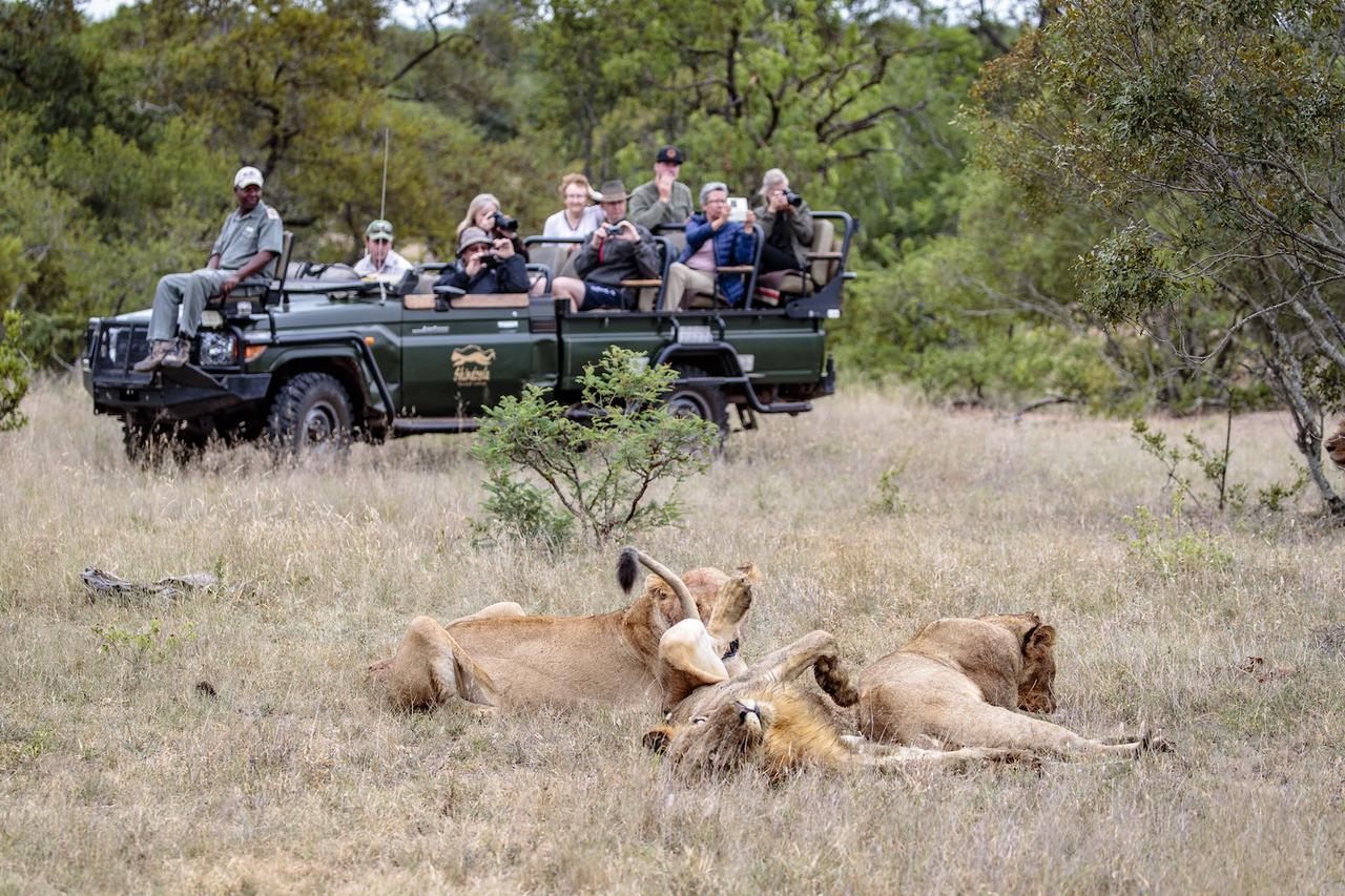 Shindzela Tented Camp Rezervaţia naturală Timbavati Exterior foto