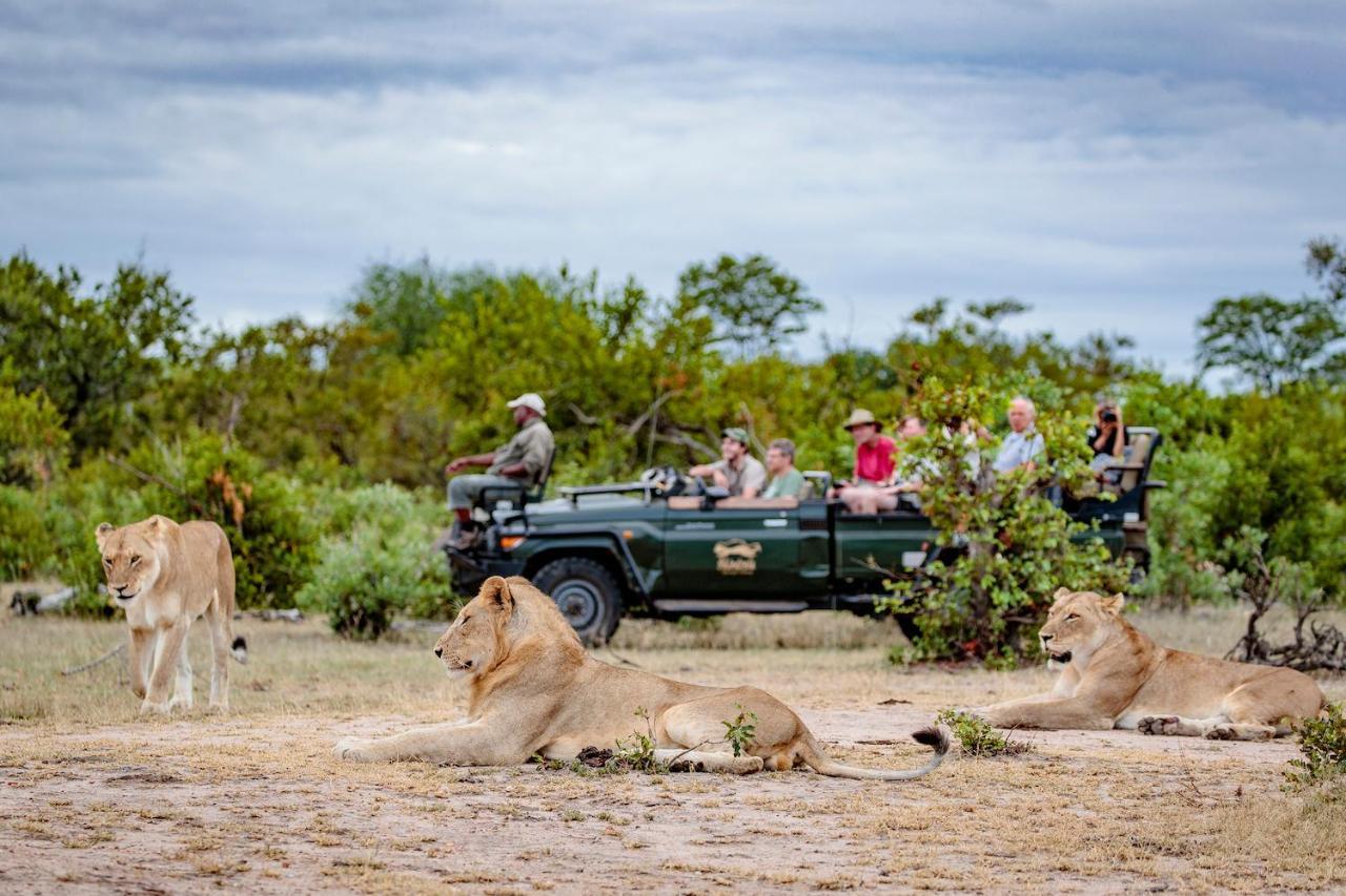 Shindzela Tented Camp Rezervaţia naturală Timbavati Exterior foto