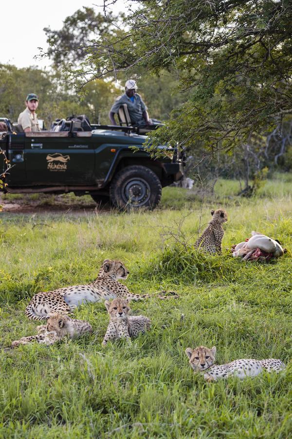 Shindzela Tented Camp Rezervaţia naturală Timbavati Exterior foto