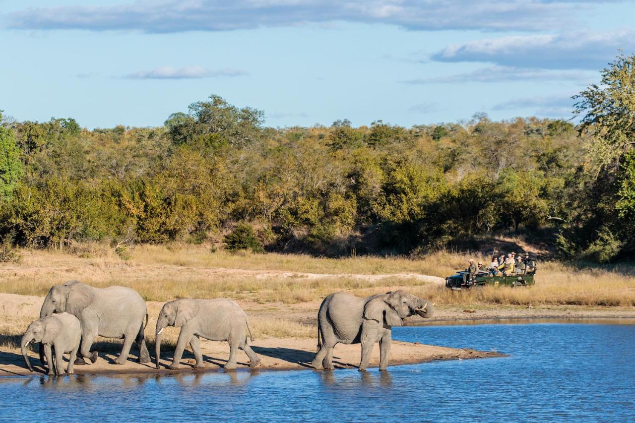 Shindzela Tented Camp Rezervaţia naturală Timbavati Exterior foto