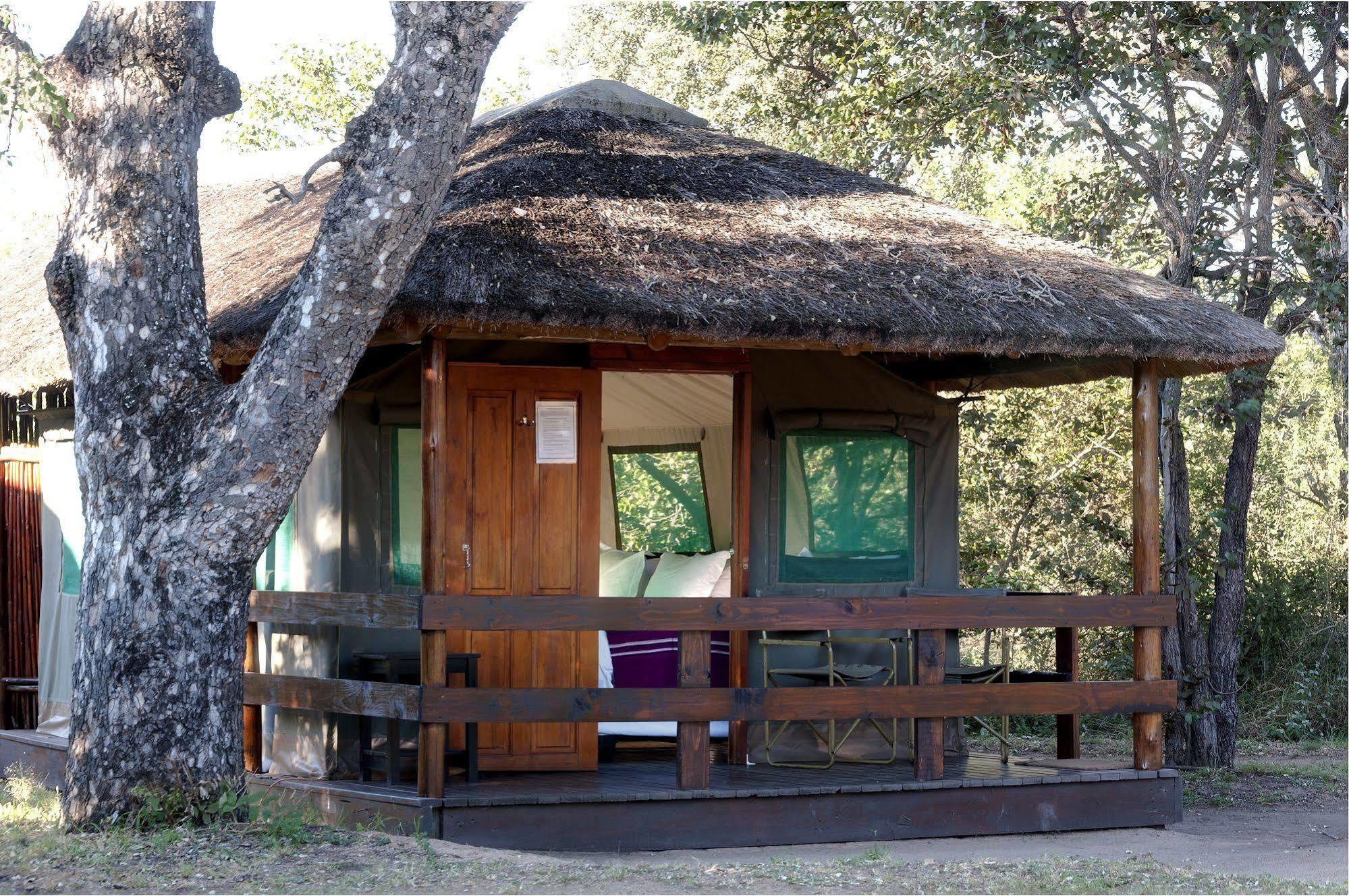 Shindzela Tented Camp Rezervaţia naturală Timbavati Exterior foto