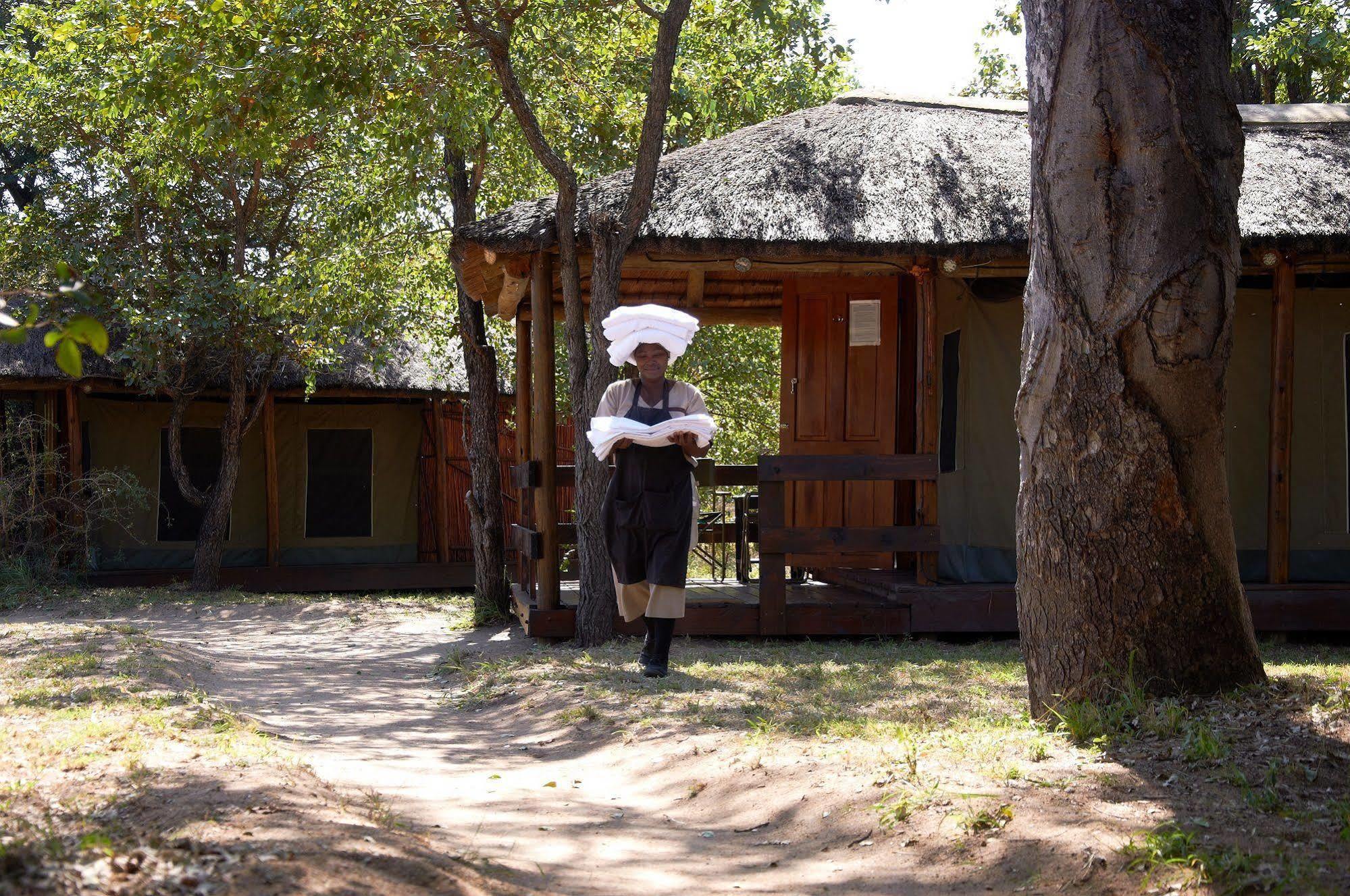 Shindzela Tented Camp Rezervaţia naturală Timbavati Exterior foto
