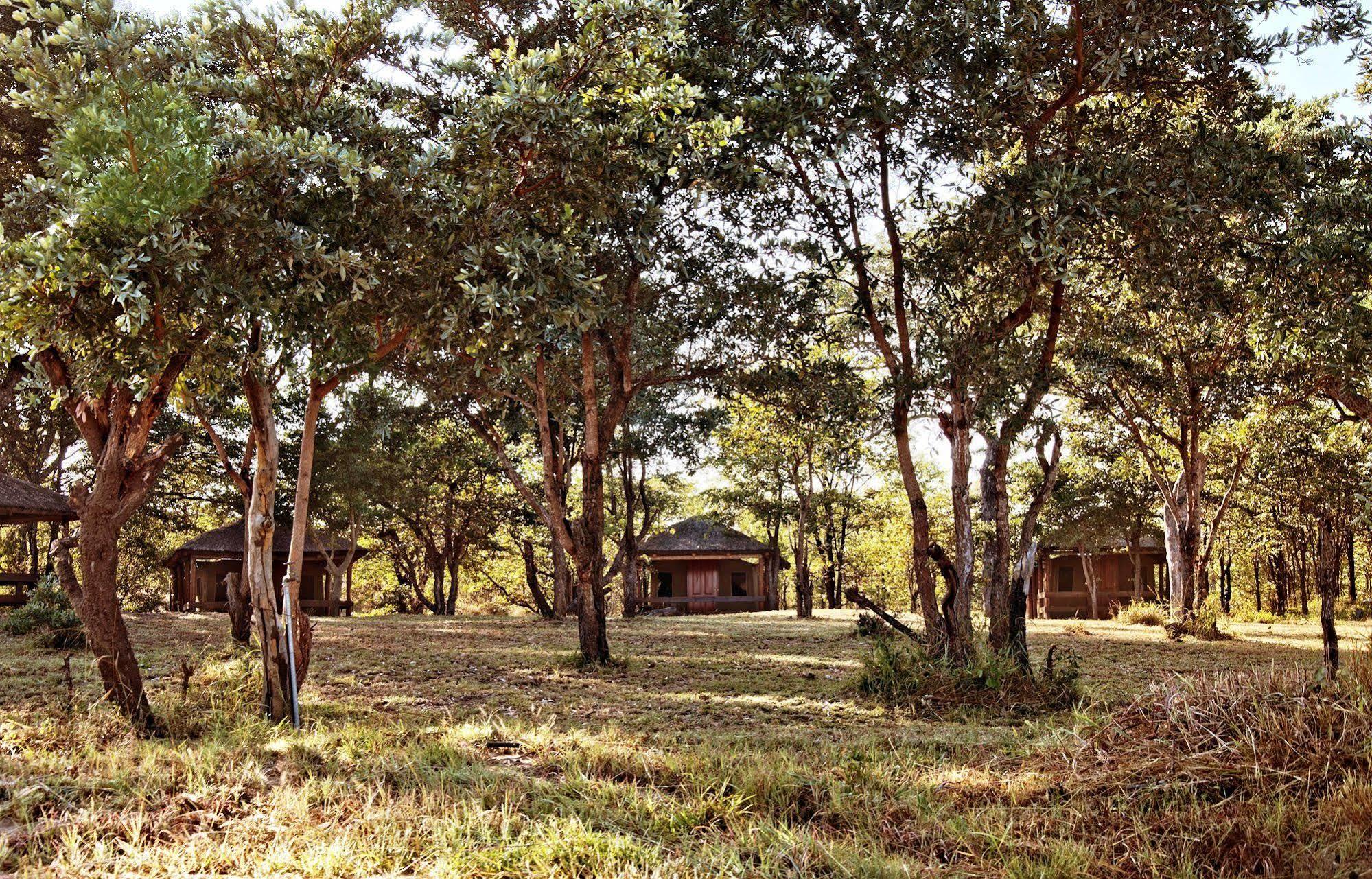 Shindzela Tented Camp Rezervaţia naturală Timbavati Exterior foto