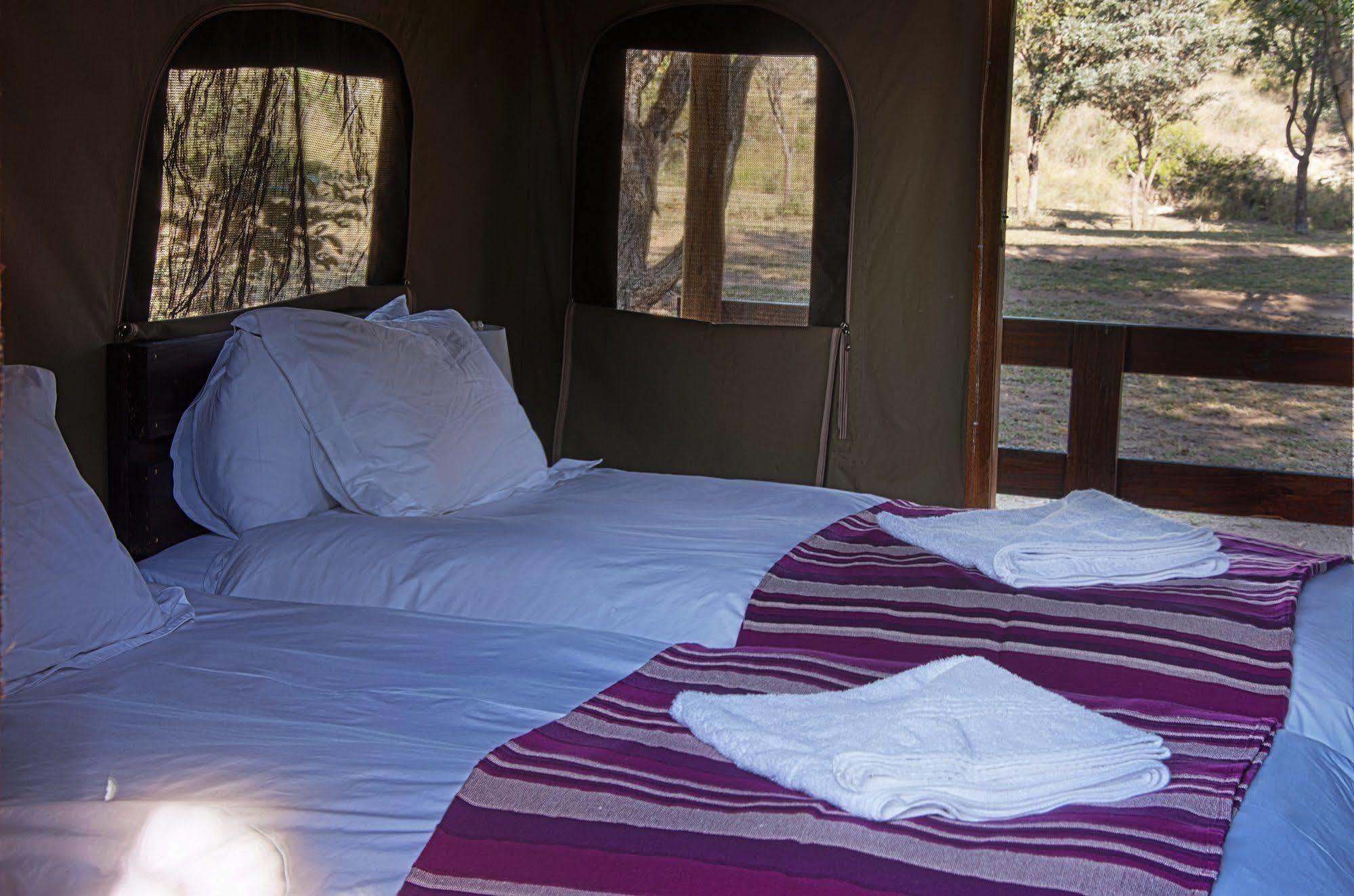 Shindzela Tented Camp Rezervaţia naturală Timbavati Exterior foto