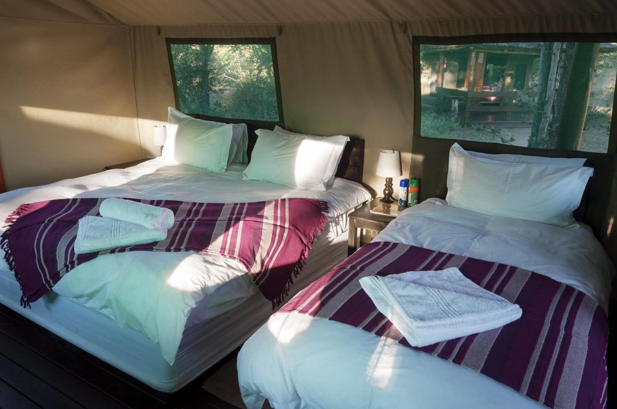 Shindzela Tented Camp Rezervaţia naturală Timbavati Exterior foto