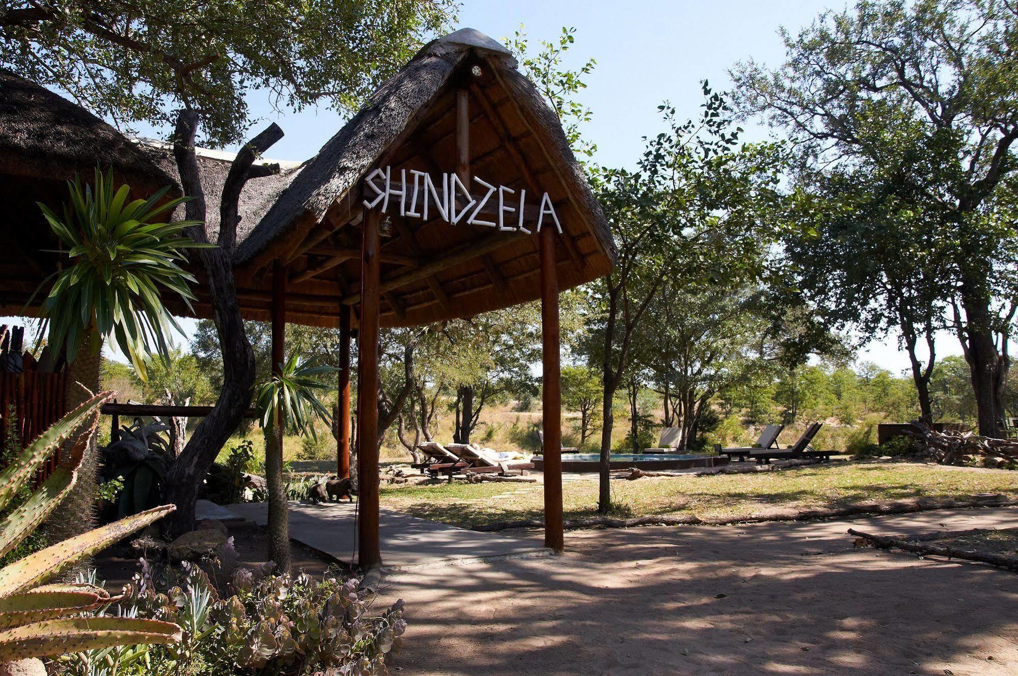 Shindzela Tented Camp Rezervaţia naturală Timbavati Exterior foto