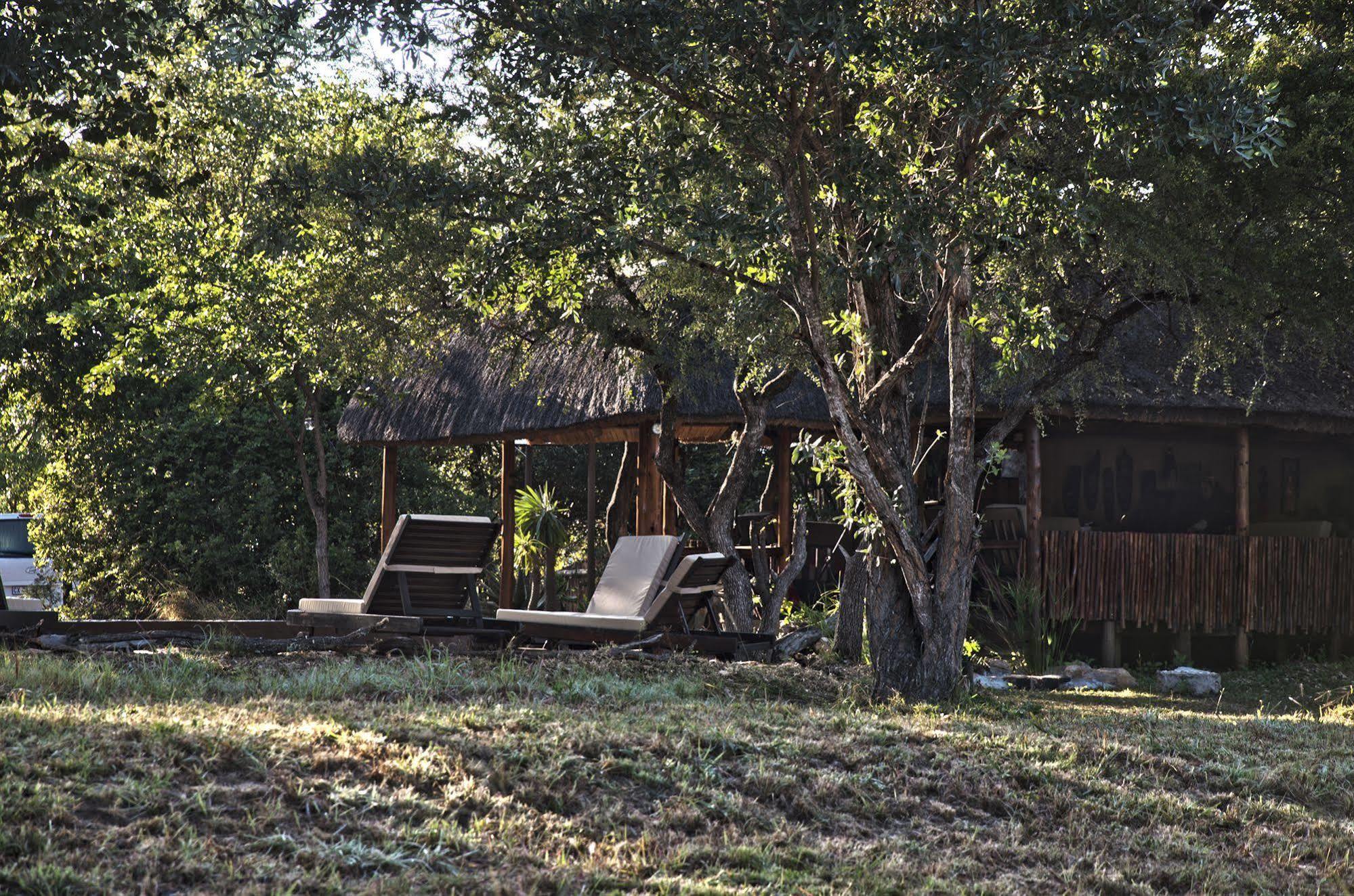 Shindzela Tented Camp Rezervaţia naturală Timbavati Exterior foto