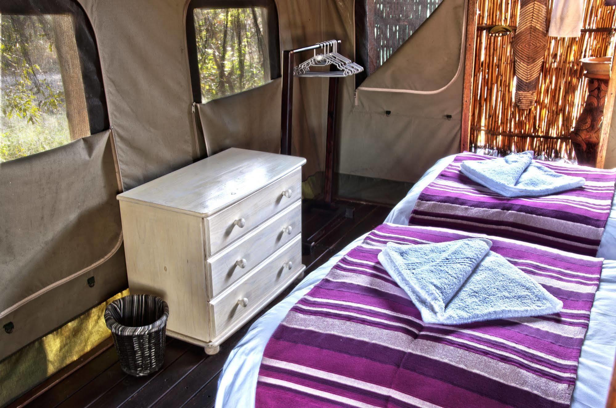 Shindzela Tented Camp Rezervaţia naturală Timbavati Exterior foto