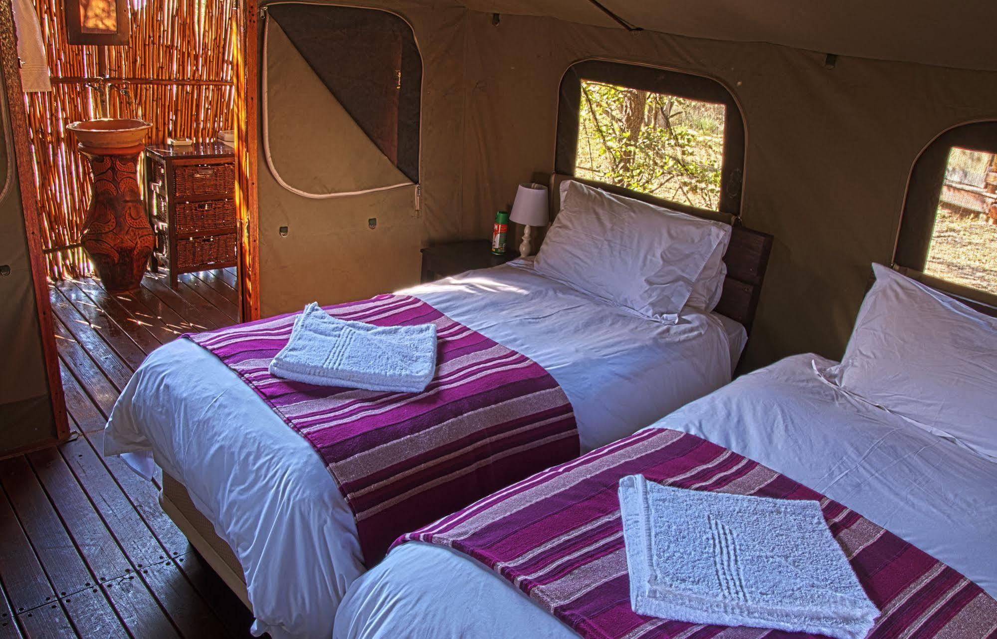 Shindzela Tented Camp Rezervaţia naturală Timbavati Exterior foto