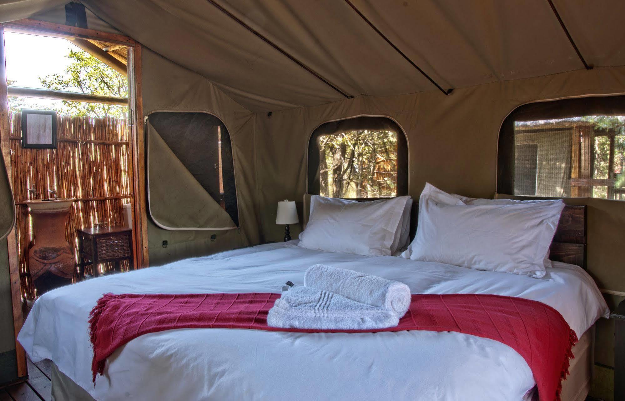 Shindzela Tented Camp Rezervaţia naturală Timbavati Exterior foto