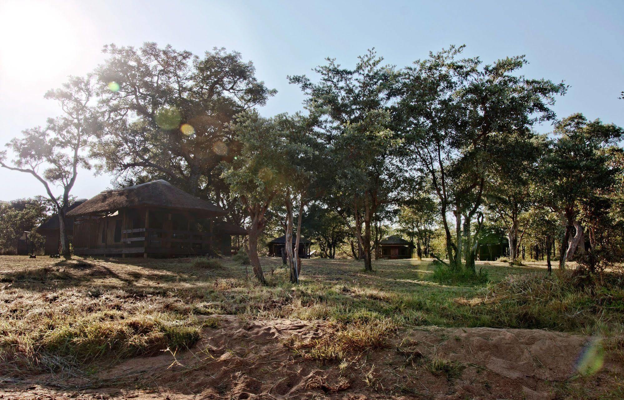 Shindzela Tented Camp Rezervaţia naturală Timbavati Exterior foto