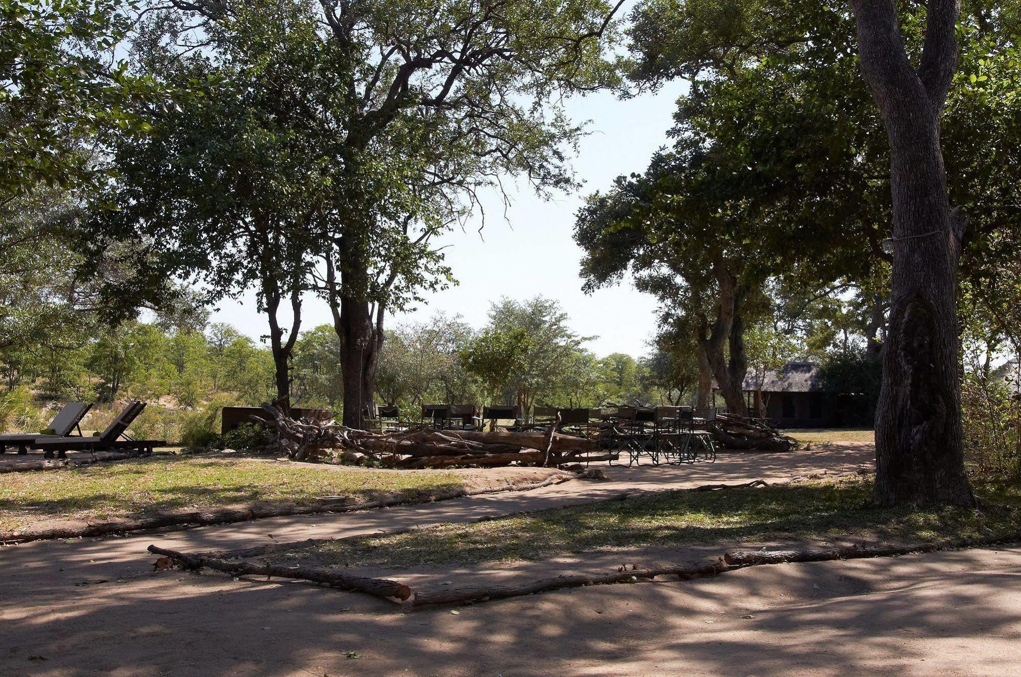 Shindzela Tented Camp Rezervaţia naturală Timbavati Exterior foto