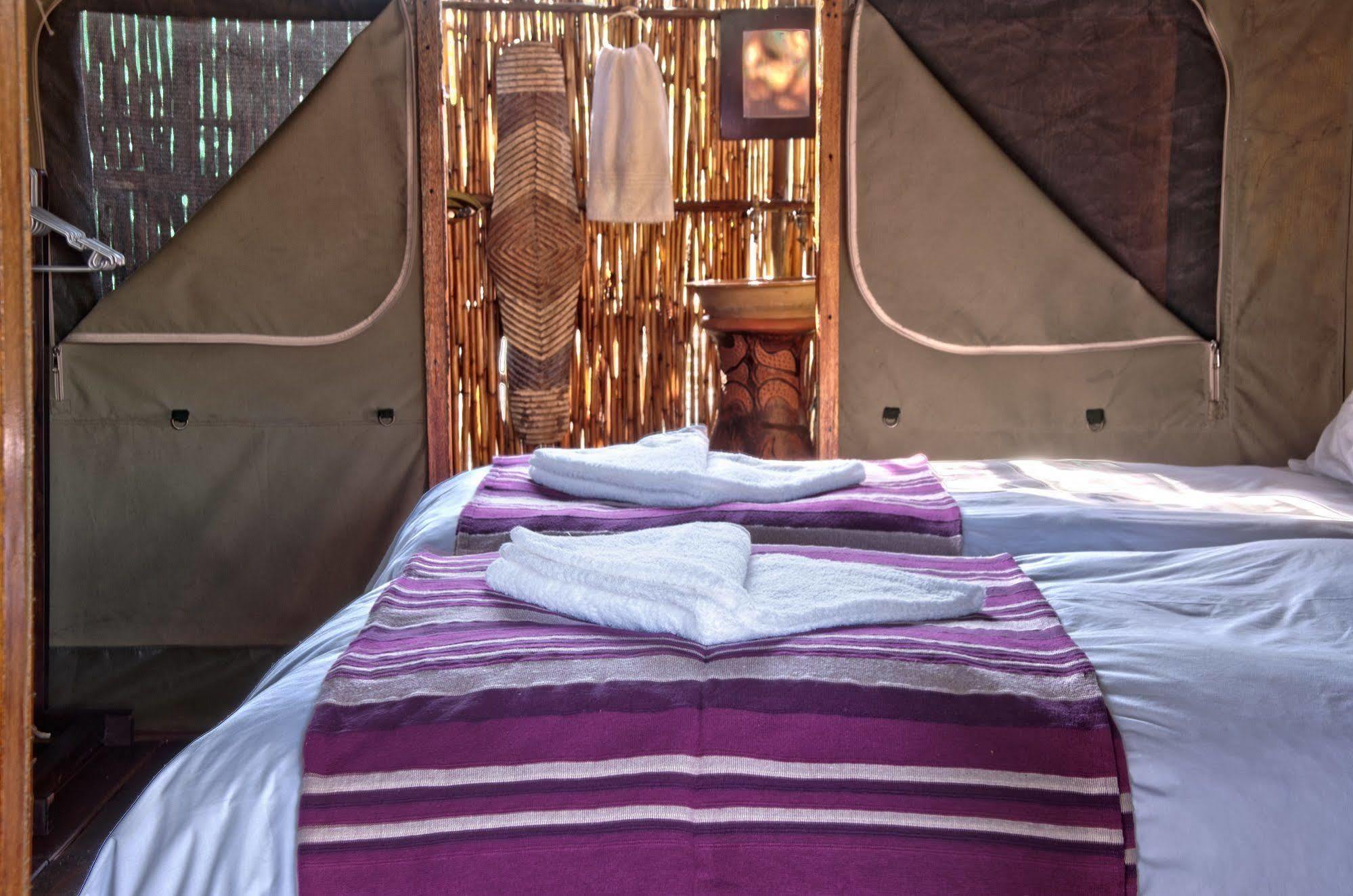 Shindzela Tented Camp Rezervaţia naturală Timbavati Exterior foto