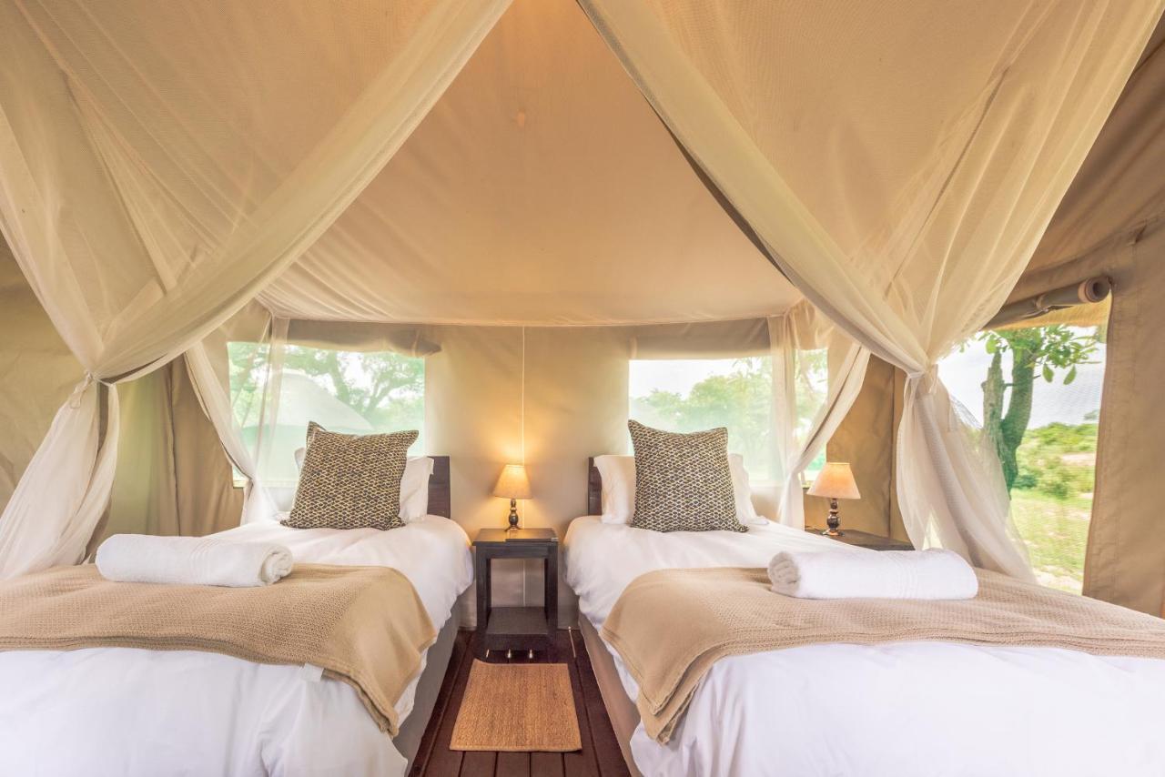 Shindzela Tented Camp Rezervaţia naturală Timbavati Exterior foto