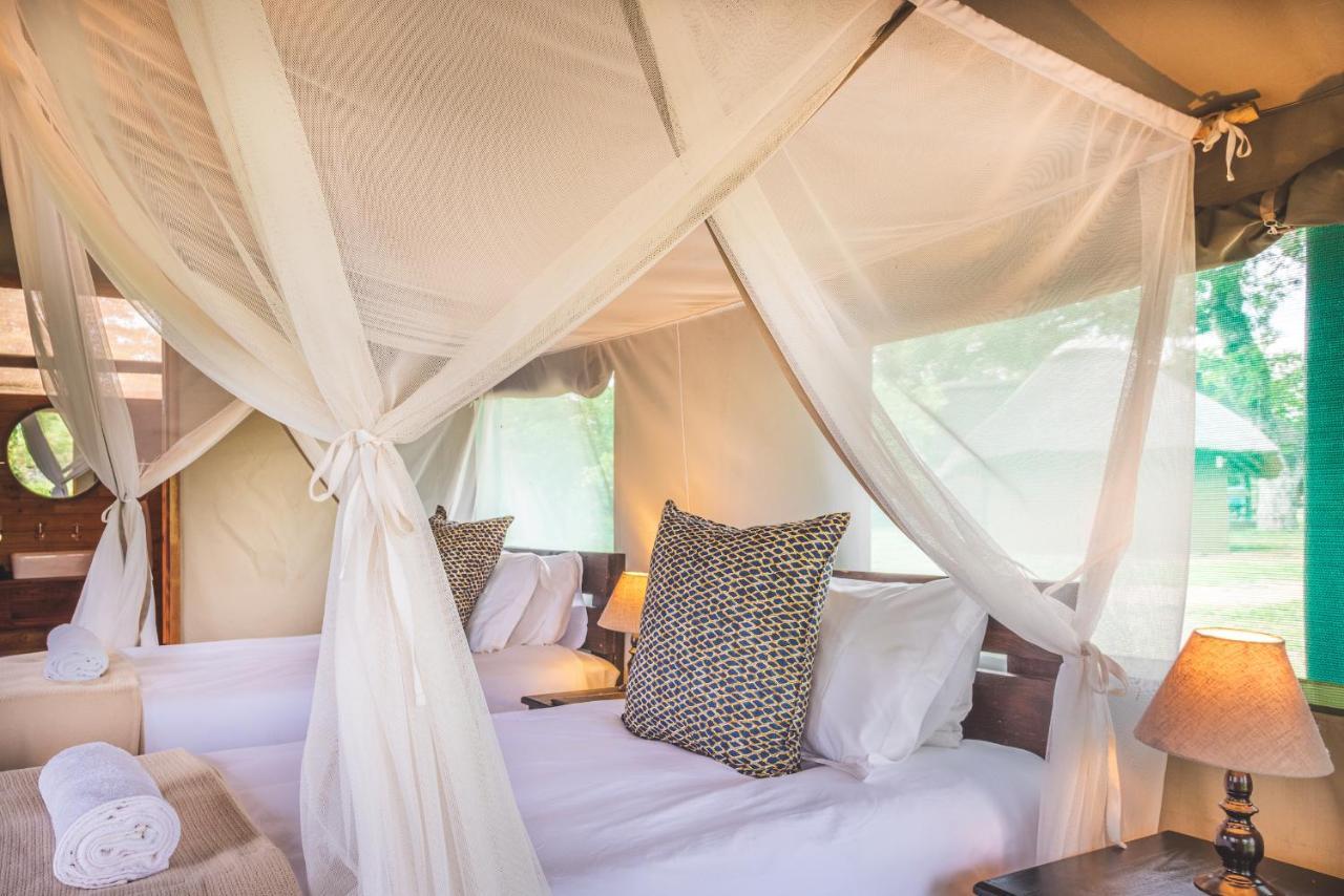 Shindzela Tented Camp Rezervaţia naturală Timbavati Exterior foto