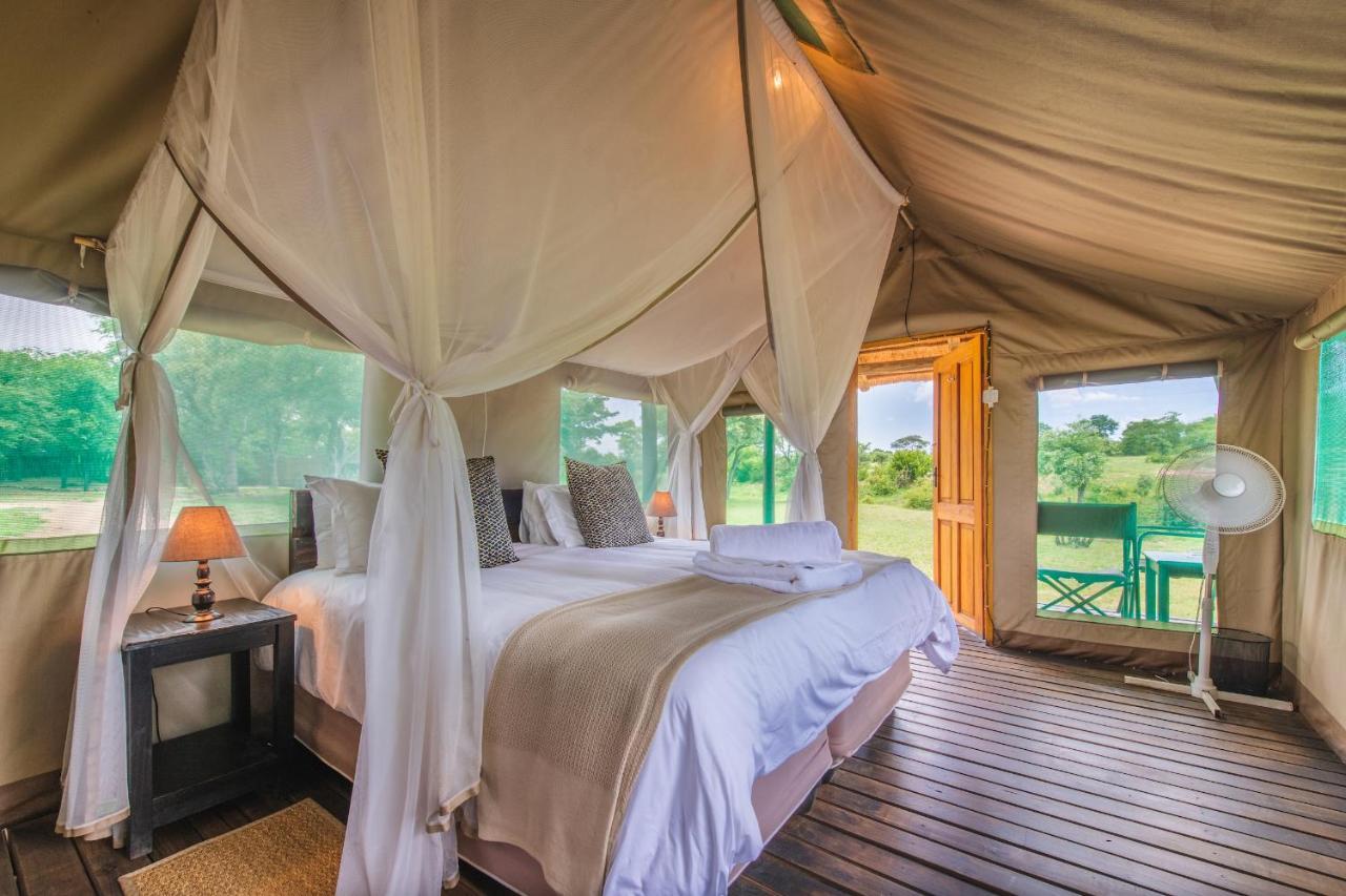 Shindzela Tented Camp Rezervaţia naturală Timbavati Exterior foto