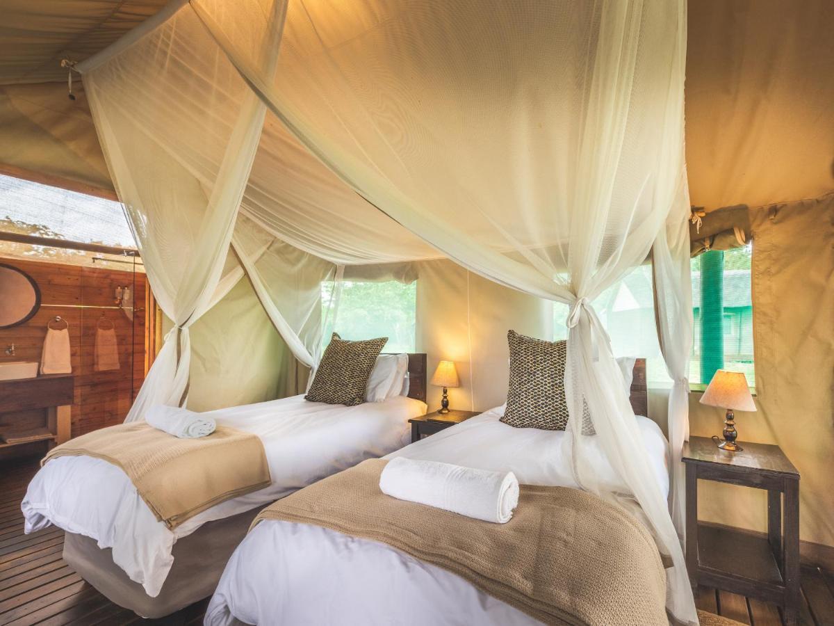 Shindzela Tented Camp Rezervaţia naturală Timbavati Exterior foto
