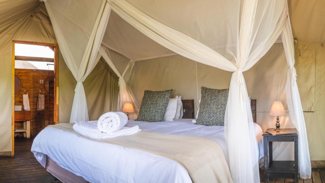 Shindzela Tented Camp Rezervaţia naturală Timbavati Exterior foto
