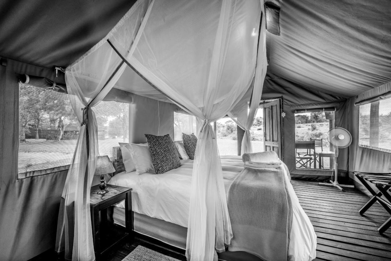 Shindzela Tented Camp Rezervaţia naturală Timbavati Exterior foto