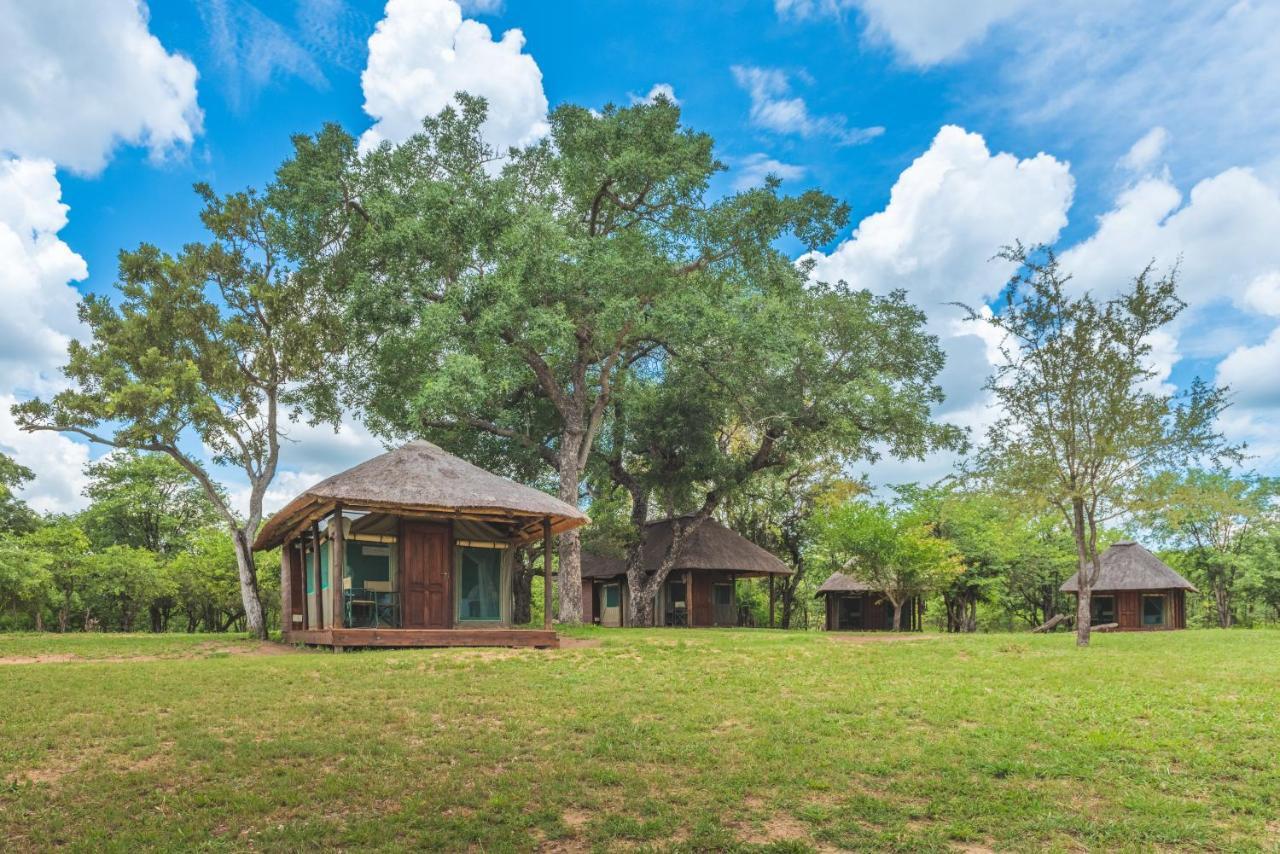 Shindzela Tented Camp Rezervaţia naturală Timbavati Exterior foto