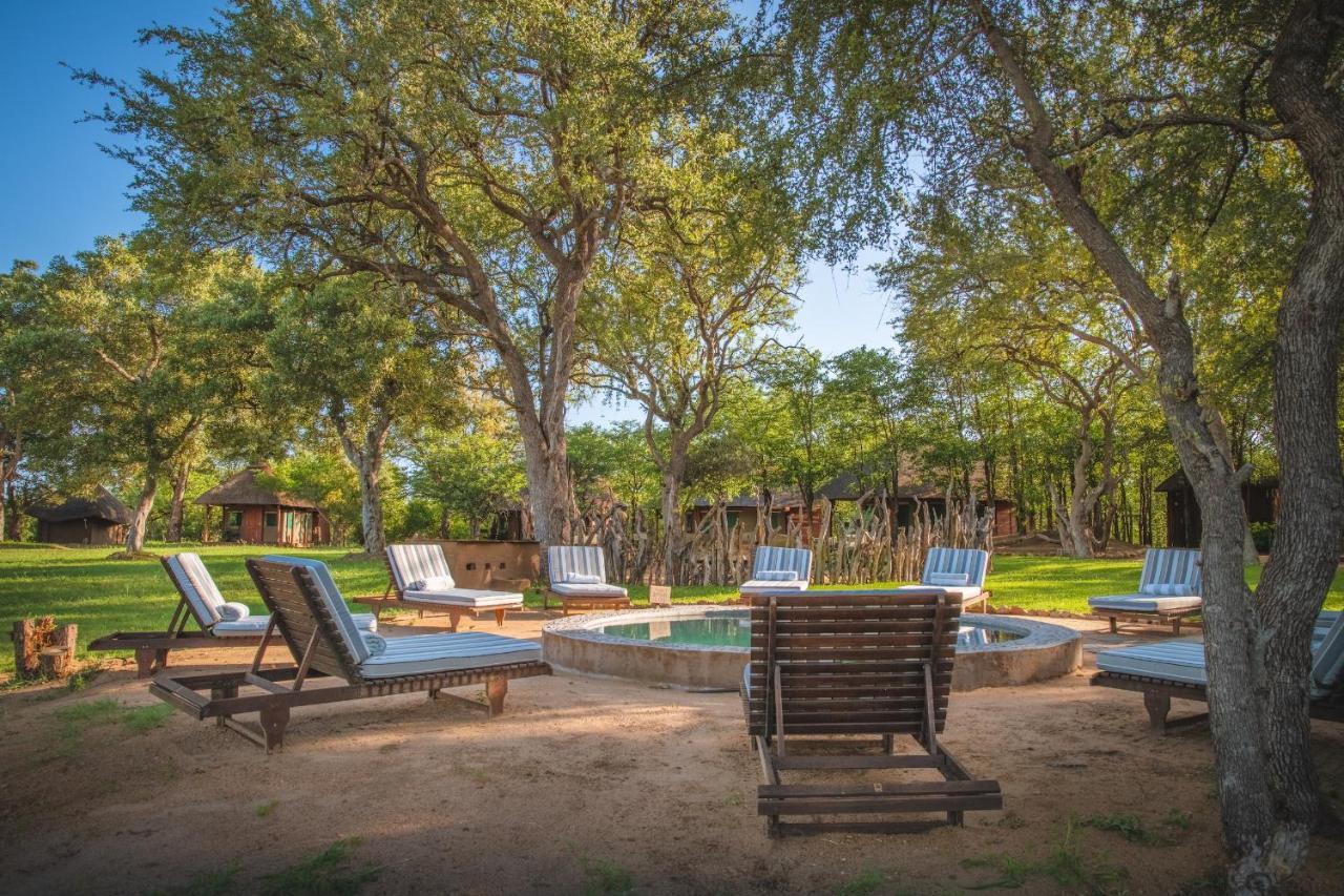 Shindzela Tented Camp Rezervaţia naturală Timbavati Exterior foto