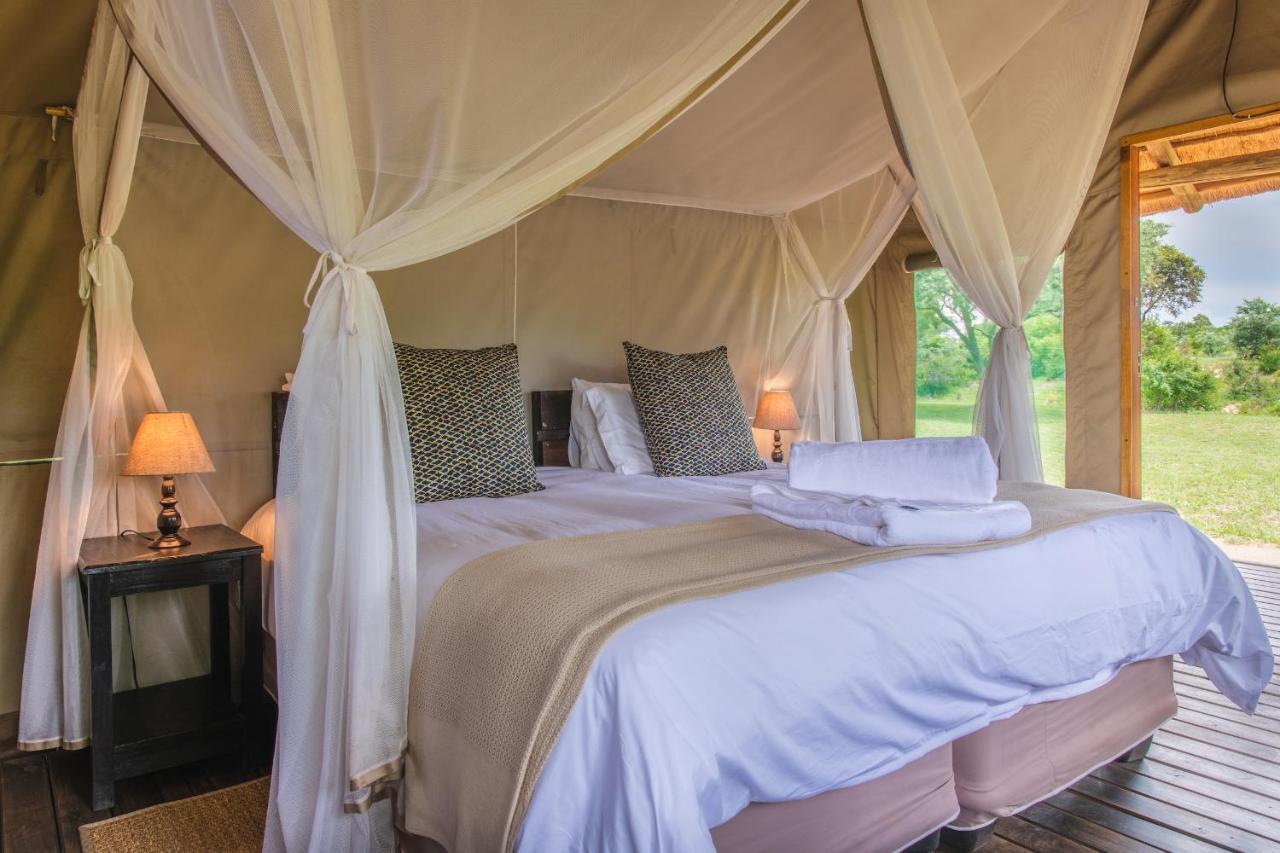 Shindzela Tented Camp Rezervaţia naturală Timbavati Exterior foto