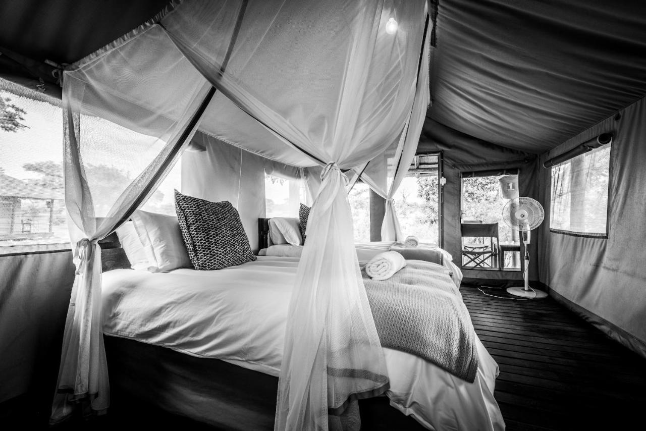 Shindzela Tented Camp Rezervaţia naturală Timbavati Exterior foto