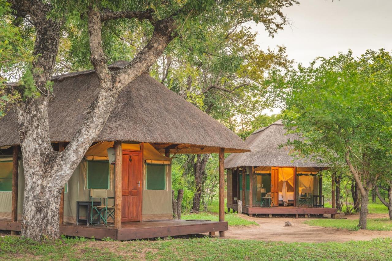 Shindzela Tented Camp Rezervaţia naturală Timbavati Exterior foto