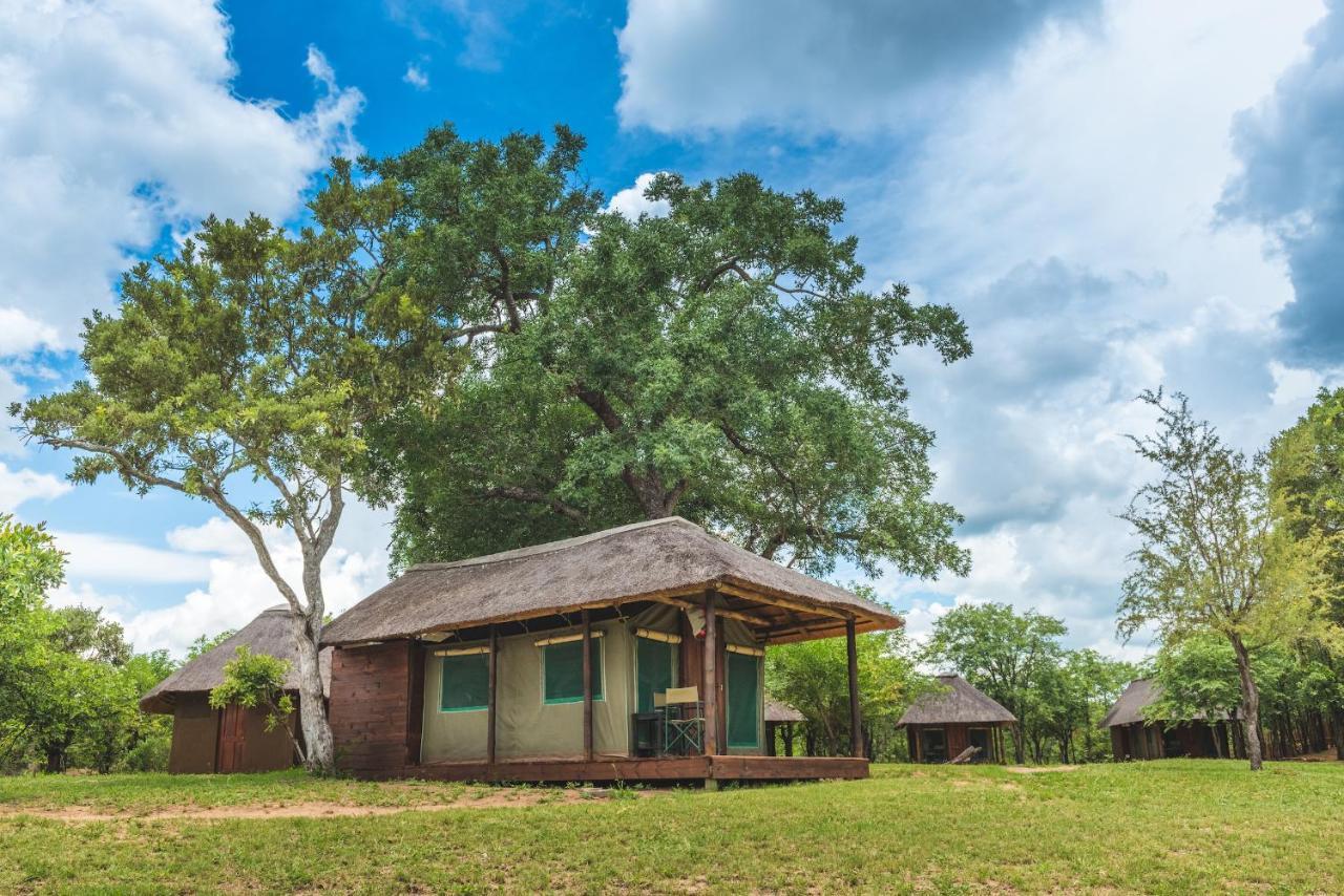 Shindzela Tented Camp Rezervaţia naturală Timbavati Exterior foto
