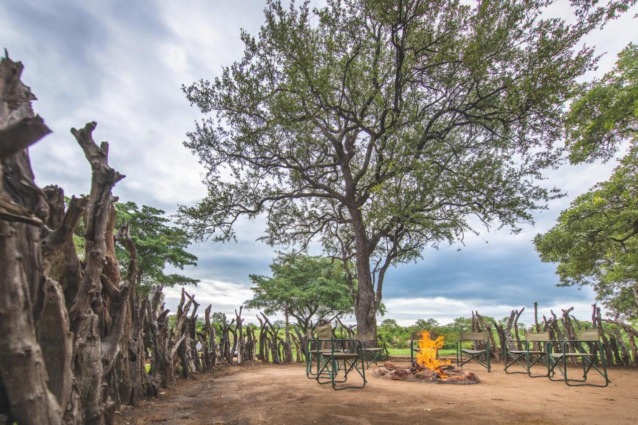 Shindzela Tented Camp Rezervaţia naturală Timbavati Exterior foto